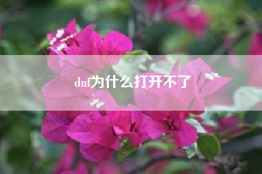 dnf为什么打开不了