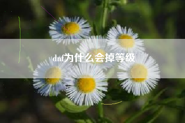 dnf为什么会掉等级