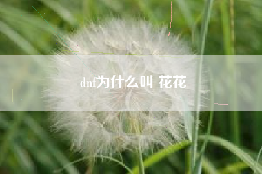 dnf为什么叫 花花