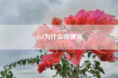 dnf为什么很便宜