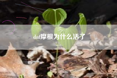 dnf摩根为什么活了