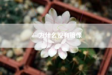 dnf为什么没有镜像