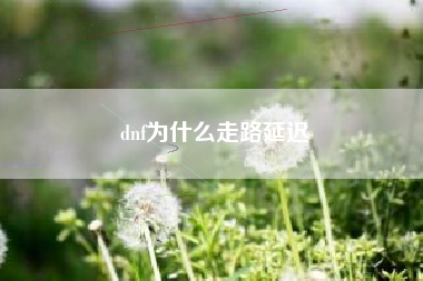 dnf为什么走路延迟