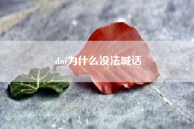 dnf为什么没法喊话