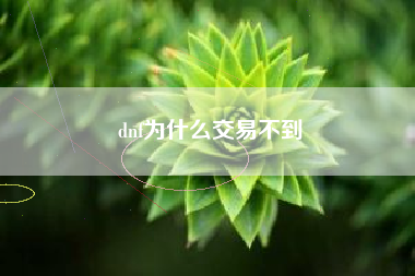 dnf为什么交易不到