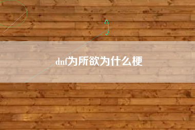 dnf为所欲为什么梗