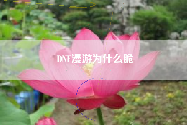 DNF漫游为什么脆