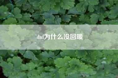 dnf为什么没回暖