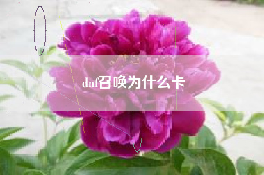 dnf召唤为什么卡