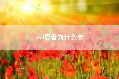 dnf忍者为什么卡