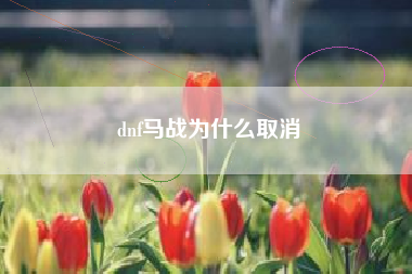 dnf马战为什么取消