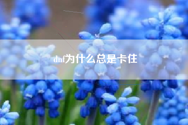 dnf为什么总是卡住