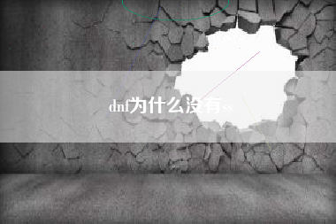 dnf为什么没有ss