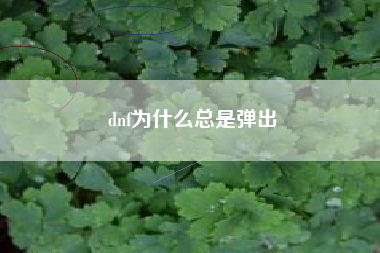 dnf为什么总是弹出