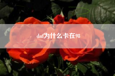 dnf为什么卡在98