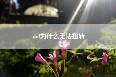 dnf为什么无法扭转