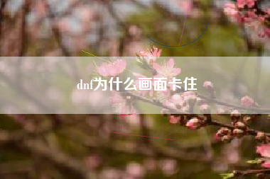 dnf为什么画面卡住