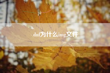 dnf为什么img文件