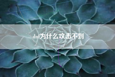 dnf为什么攻击不到