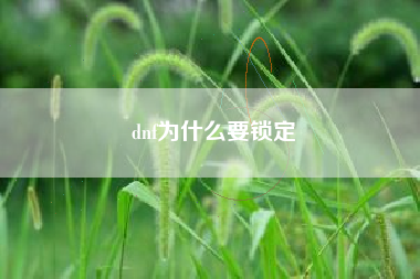 dnf为什么要锁定