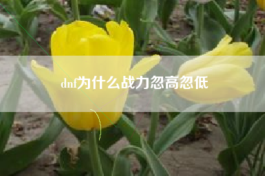 dnf为什么战力忽高忽低