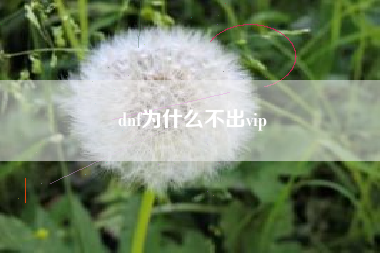 dnf为什么不出vip