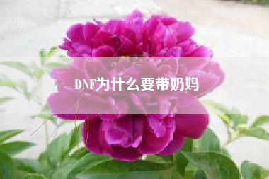 DNF为什么要带奶妈