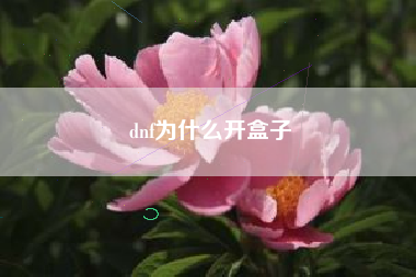 dnf为什么开盒子