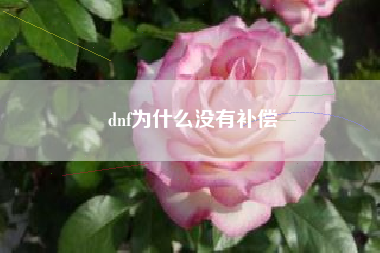 dnf为什么没有补偿