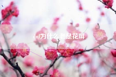 dnf为什么老是花屏