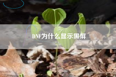 DNF为什么显示黑屏