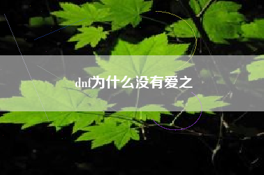 dnf为什么没有爱之