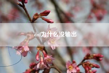 dnf为什么没输出