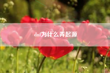 dnf为什么弄起源