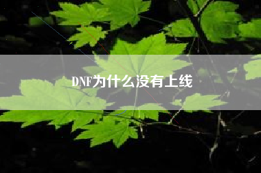 DNF为什么没有上线