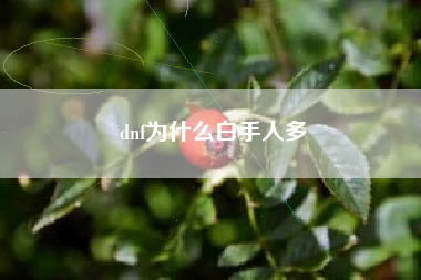 dnf为什么白手人多