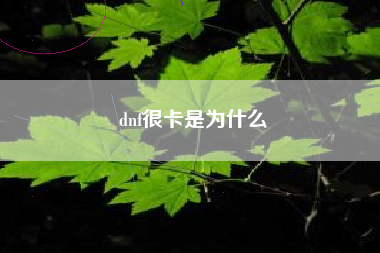 dnf很卡是为什么