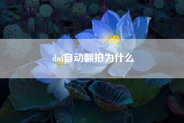 dnf自动翻拍为什么