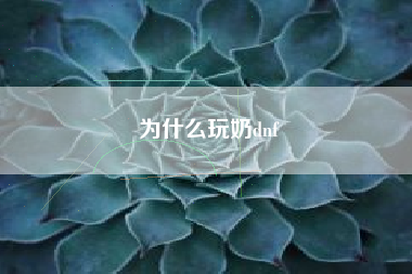 为什么玩奶dnf