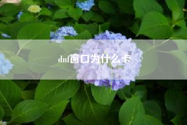 dnf窗口为什么卡