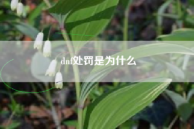 dnf处罚是为什么