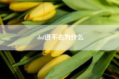 dnf进不去为什么