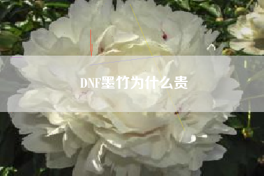 DNF墨竹为什么贵