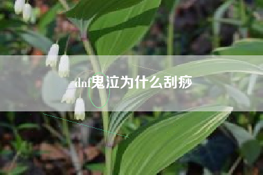 dnf鬼泣为什么刮痧