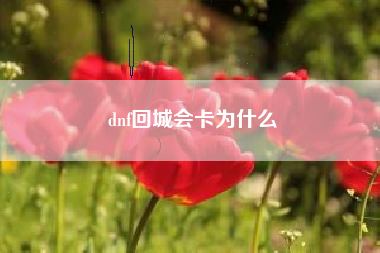 dnf回城会卡为什么