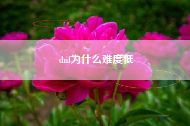 dnf为什么难度低