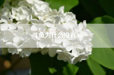 斗鱼为什么没有dnf