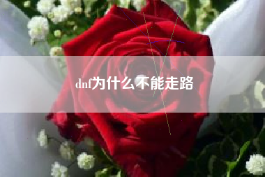 dnf为什么不能走路