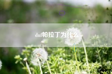 dnf帕拉丁为什么