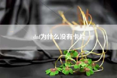 dnf为什么没有卡片